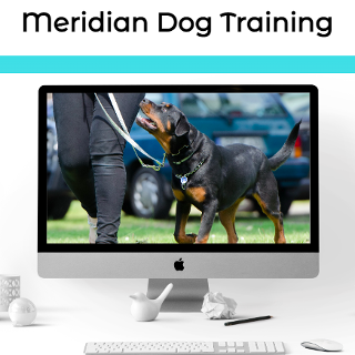 Meridian Dog Training